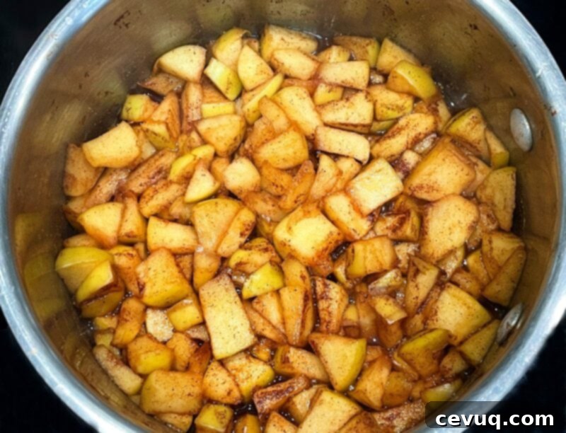 Μηλοπιτάκια Air Fryer 4 μήλα, κανέλα και ζάχαρη σε τηγάνι