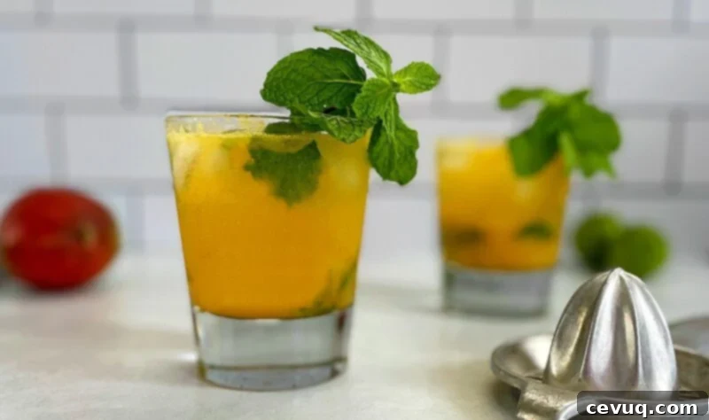 Μάνγκο Μοχίτο 2 Mango mojitos with mint garnish.