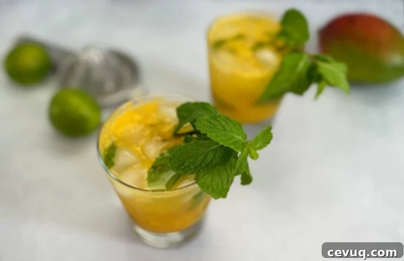 Μάνγκο Μοχίτο 4 mango mojitos in a lowball glass.