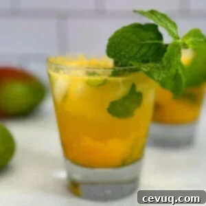 Μάνγκο Μοχίτο 5 mango mojito with fresh mint