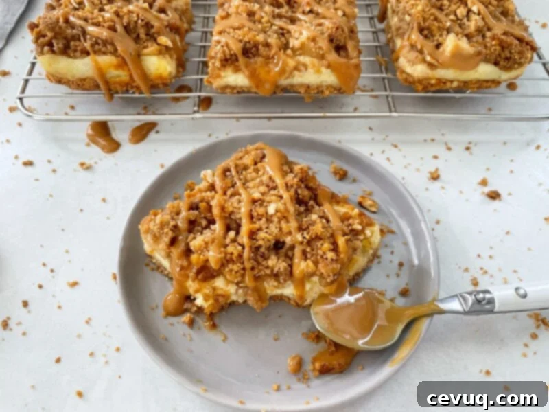 Μπάρες Τσιζκέικ με Κράμπλ Μήλου 2 Μπάρα cheesecake μηλόπιτας με καραμέλα και δαγκωνιά.