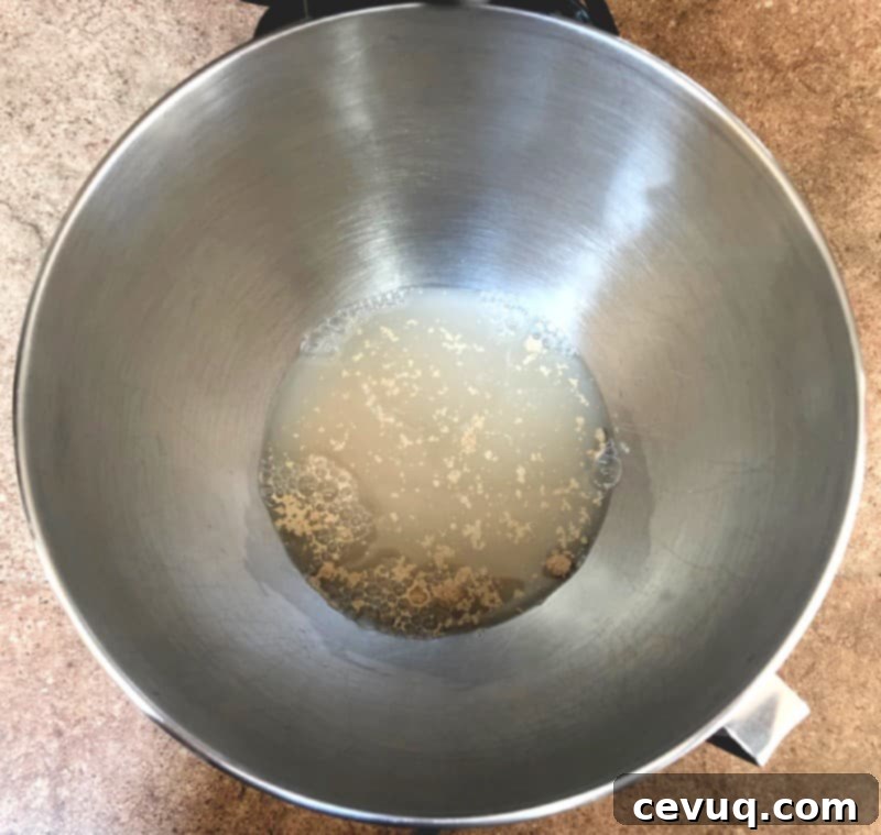 Συνταγή ζύμης πίτσας χωρίς ζύμωμα 4 yeast, water and sugar for homemade pizza crust.
