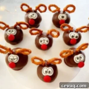 Κεκάκια Τάρανδου 12 Χριστουγεννιάτικα cake pops ταράνδου σε βάση για γλυκά