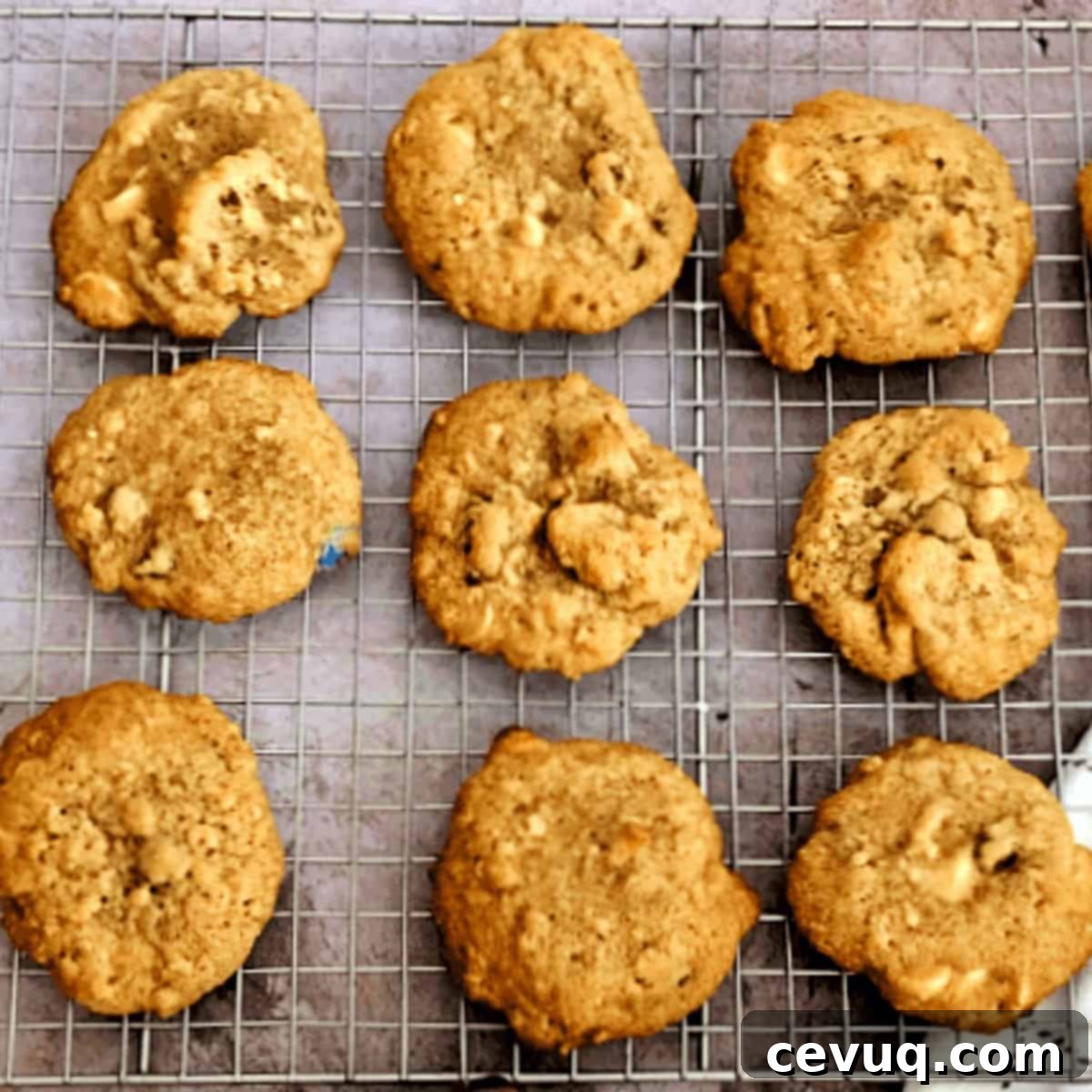 Μπισκότα Όλα Μέσα 7 Ψημένα μπισκότα Dump Cookies σε σχάρα ψύξης.