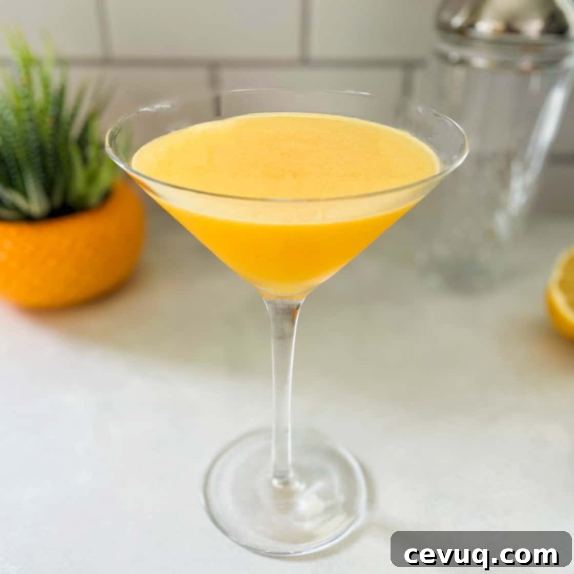 Μαρτίνι Φρούτο του Πάθους 2 Μαρτίνι Passion Fruit με φρέσκα φρούτα του πάθους.