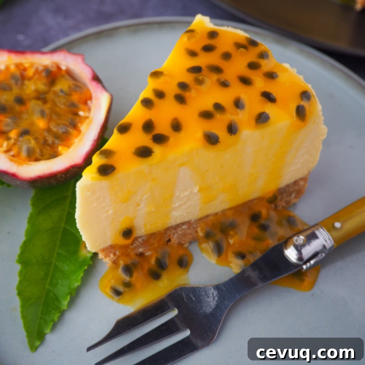 Οι 14 Απόλυτες Συνταγές Φρούτου του Πάθους 6 Cheesecake Φρούτο του Πάθους