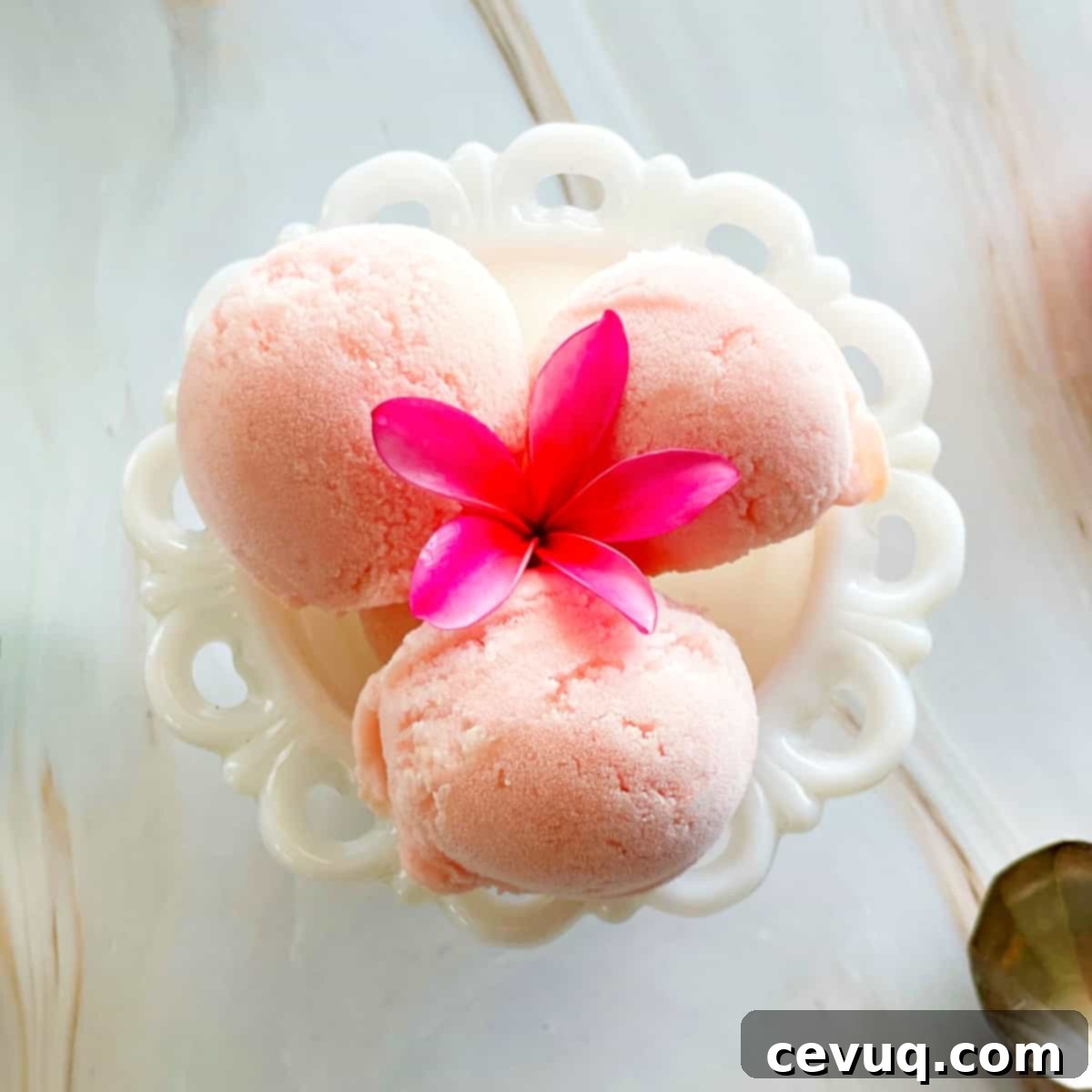 Απόλαυση Γκουάβα 4 guava gelato with a plumeria flower garnish.