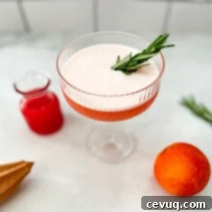 Πορφυρό Σαγκουίνι Τζιν 5 κοκτέιλ gin με σαγκουίνι και γαρνιτούρα δεντρολίβανο.