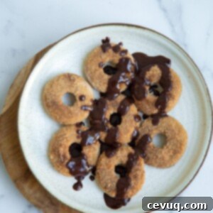 Απολαυστικά Vegan Τσούρο Ντόνατς 5 Βίγκαν ντόνατς churro με σοκολατένια επικάλυψη