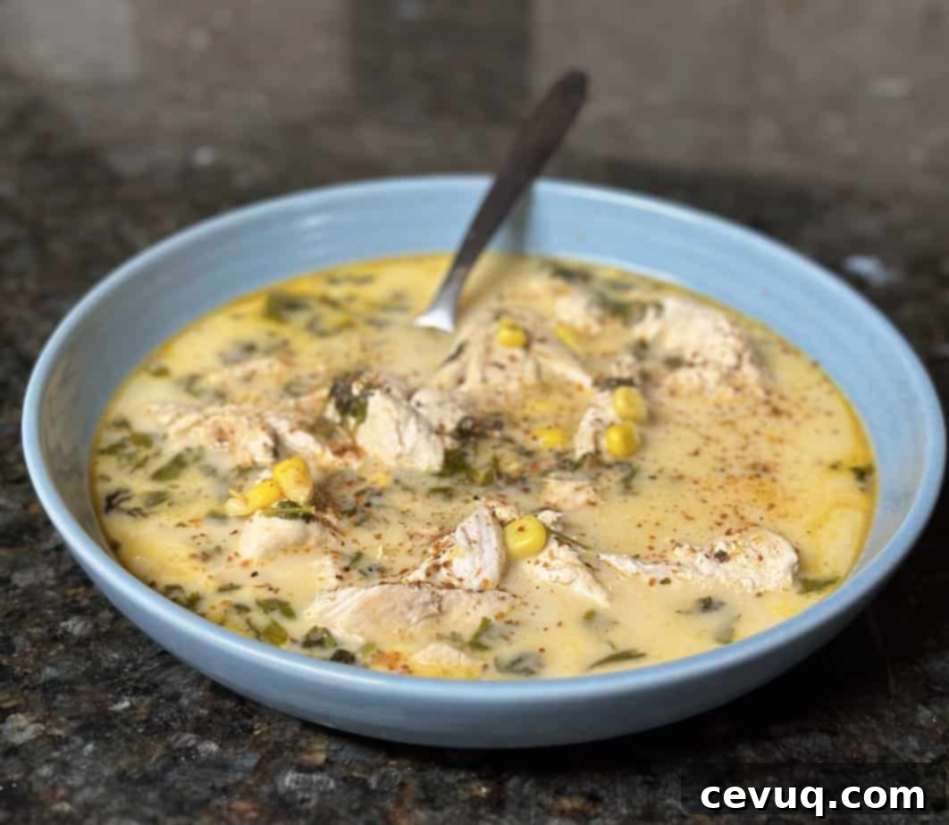 15 Γρήγορες Μεξικάνικες Συνταγές για Instant Pot 11 Instant Pot Mexican Street Corn Chicken Soup