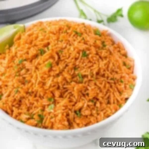15 Γρήγορες Μεξικάνικες Συνταγές για Instant Pot 14 a boel of mexican rice made in the instant pot.