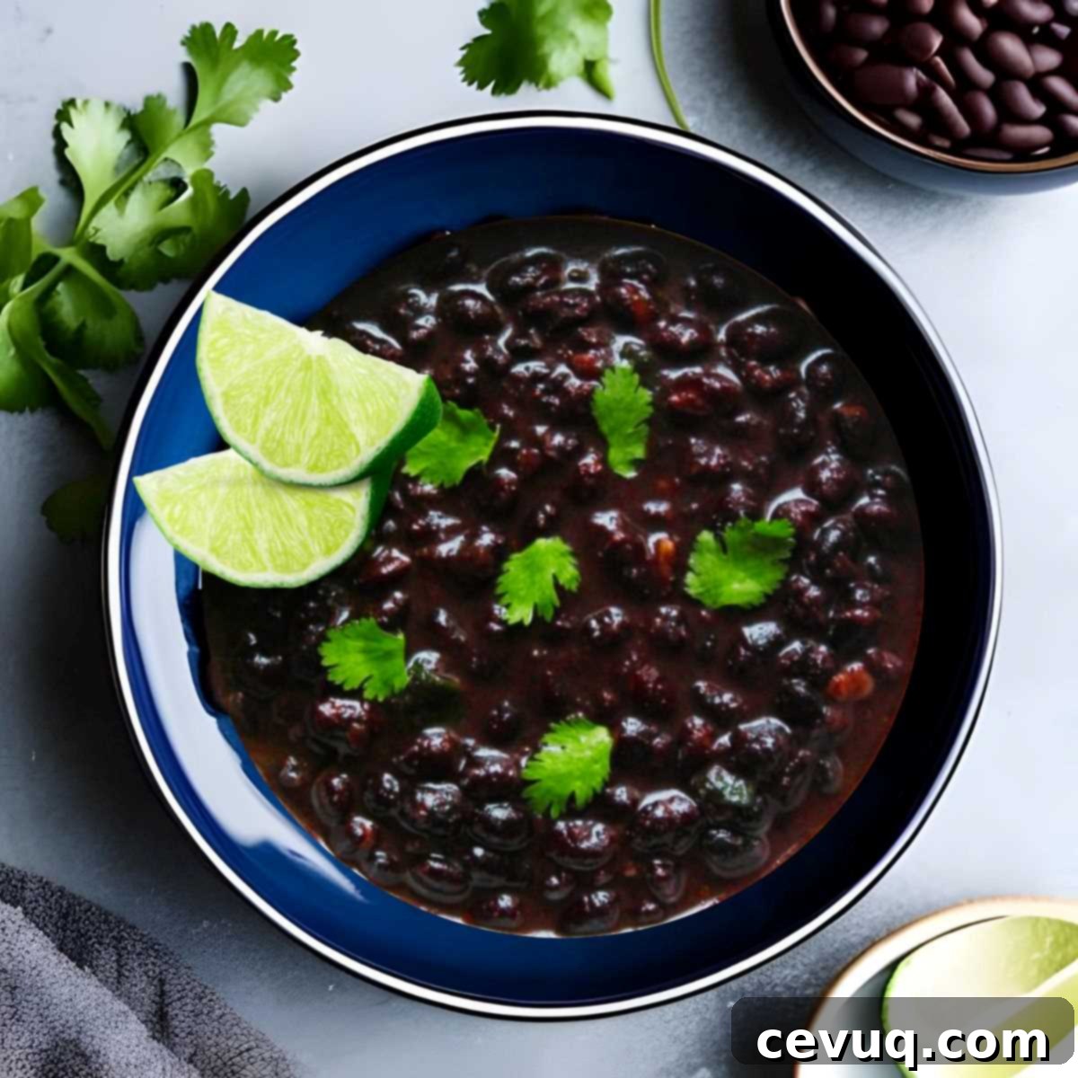 15 Γρήγορες Μεξικάνικες Συνταγές για Instant Pot 15 Instant Pot Black Beans Recipe