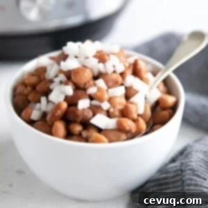 15 Γρήγορες Μεξικάνικες Συνταγές για Instant Pot 17 pinto beans made in the instant pot.