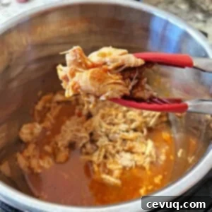 15 Γρήγορες Μεξικάνικες Συνταγές για Instant Pot 7 Salsa-chicken.