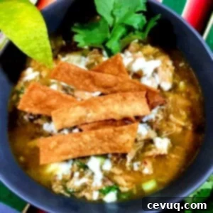 15 Γρήγορες Μεξικάνικες Συνταγές για Instant Pot 9 a bowl of green chile chicken soup with fried tortilla strips