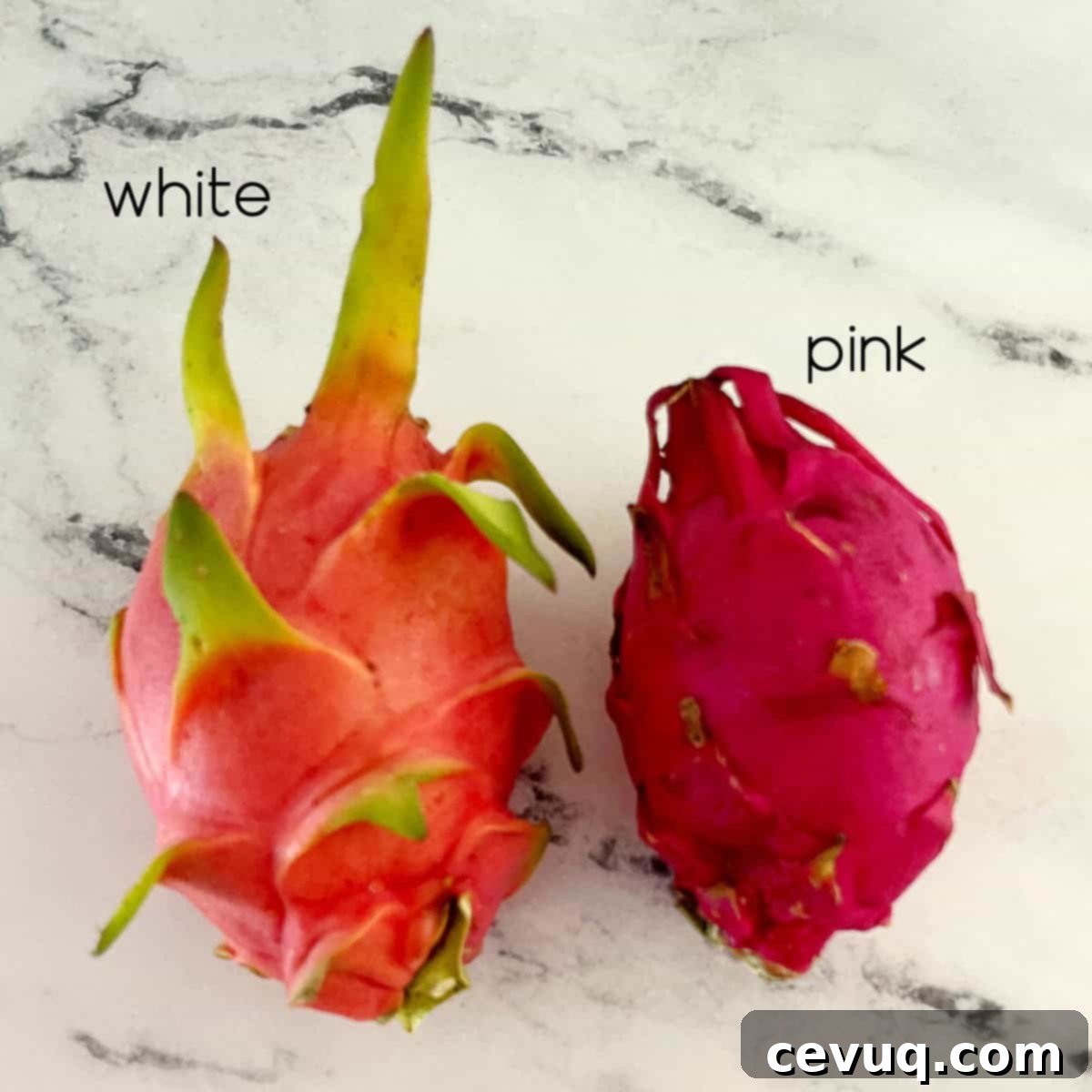Αποξηραμένη Πιταχάγια 4 white and pink dragonfruit