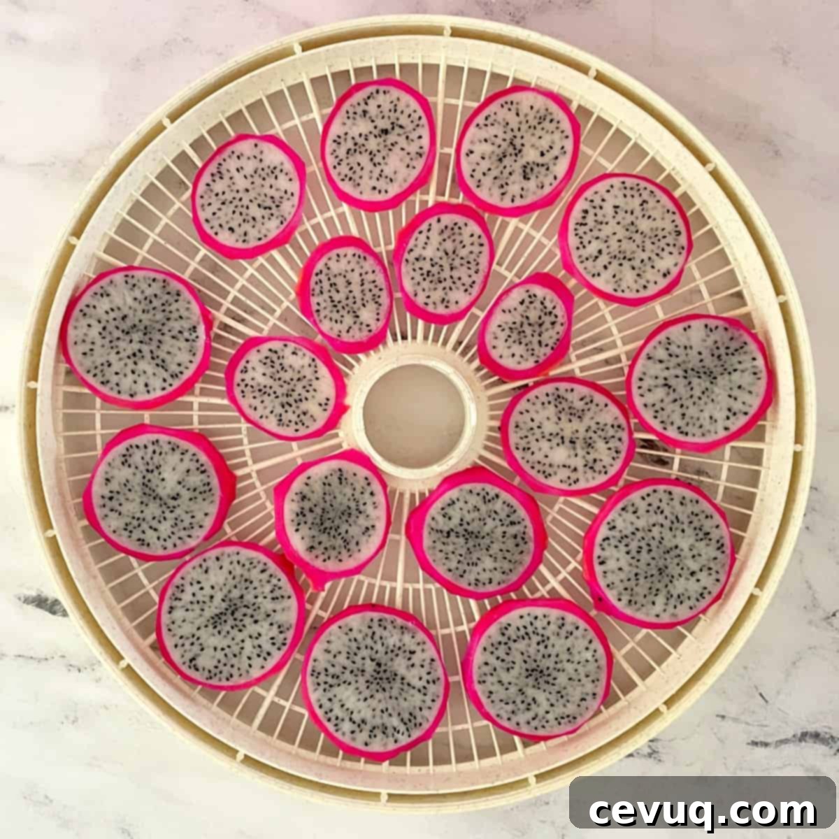 Αποξηραμένη Πιταχάγια 9 sliced white dragon fruit on a dehydrator tray.