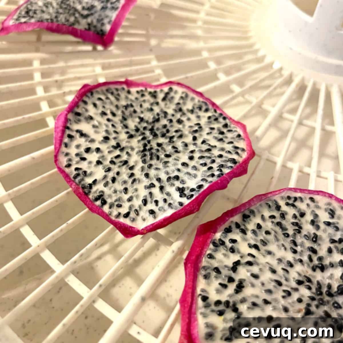 Αποξηραμένη Πιταχάγια 10 dehydrated dragon fruit on a dehydrator tray.