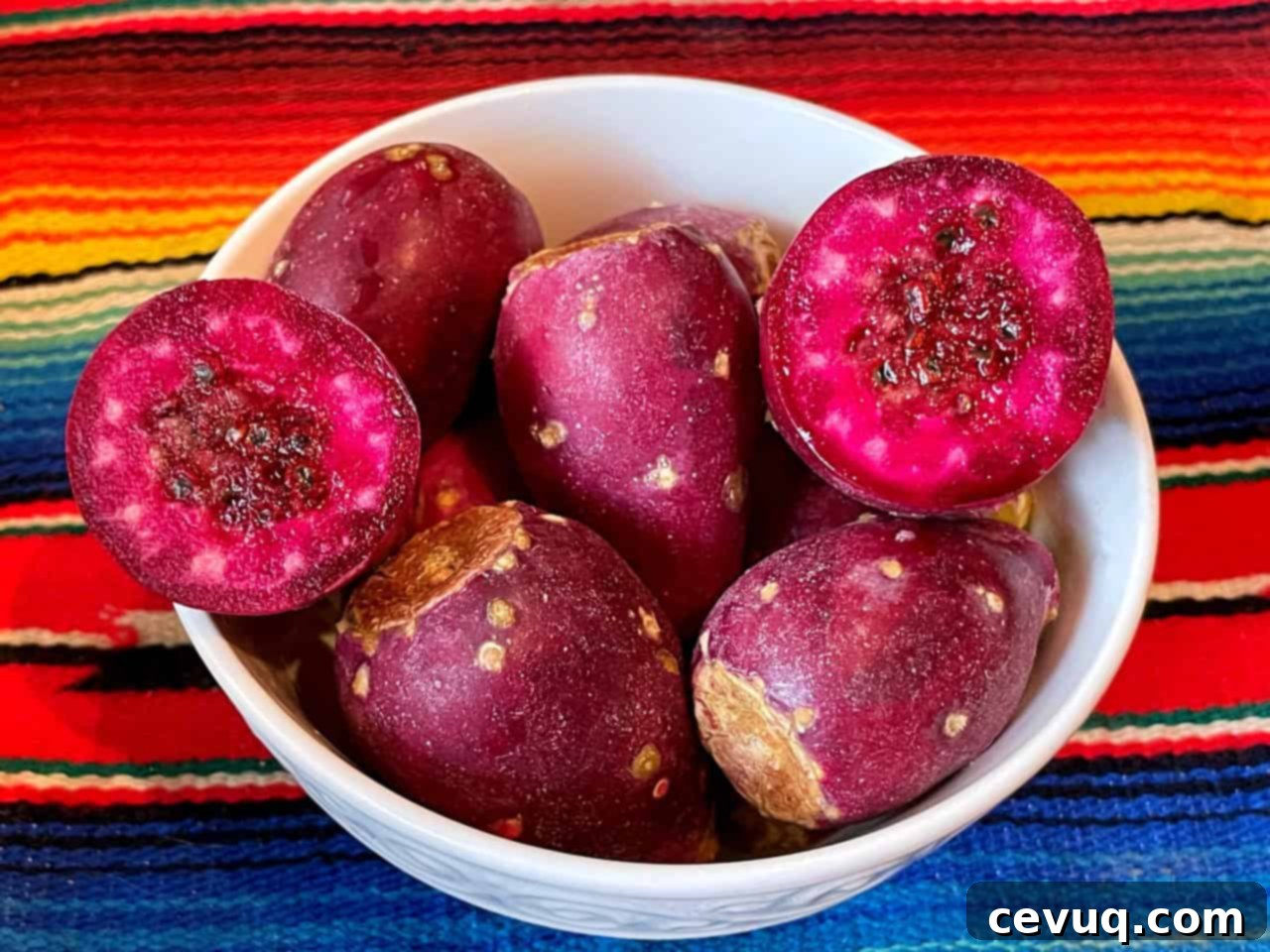 Μαργαρίτα Φραγκόσυκο 4 prickly pear fruit in a bowl.