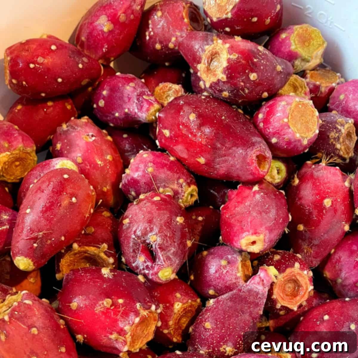 Μαργαρίτα Φραγκόσυκο 5 a bowl of fresh prickly pear fruit.