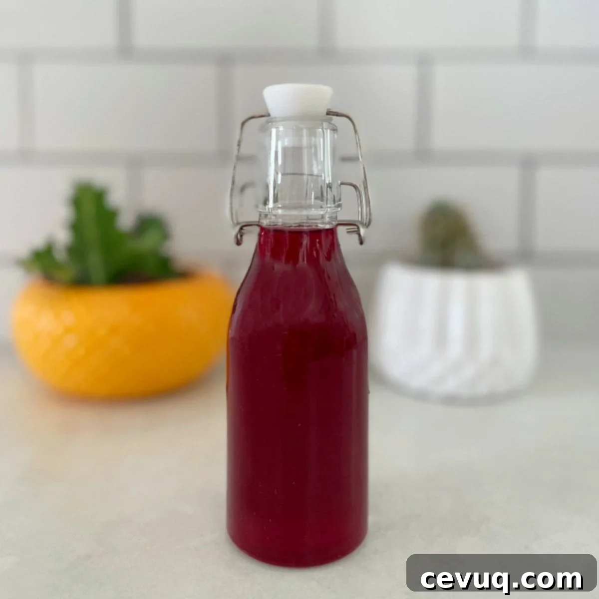 Μαργαρίτα Φραγκόσυκο 7 prickly pear syrup in a bottle.