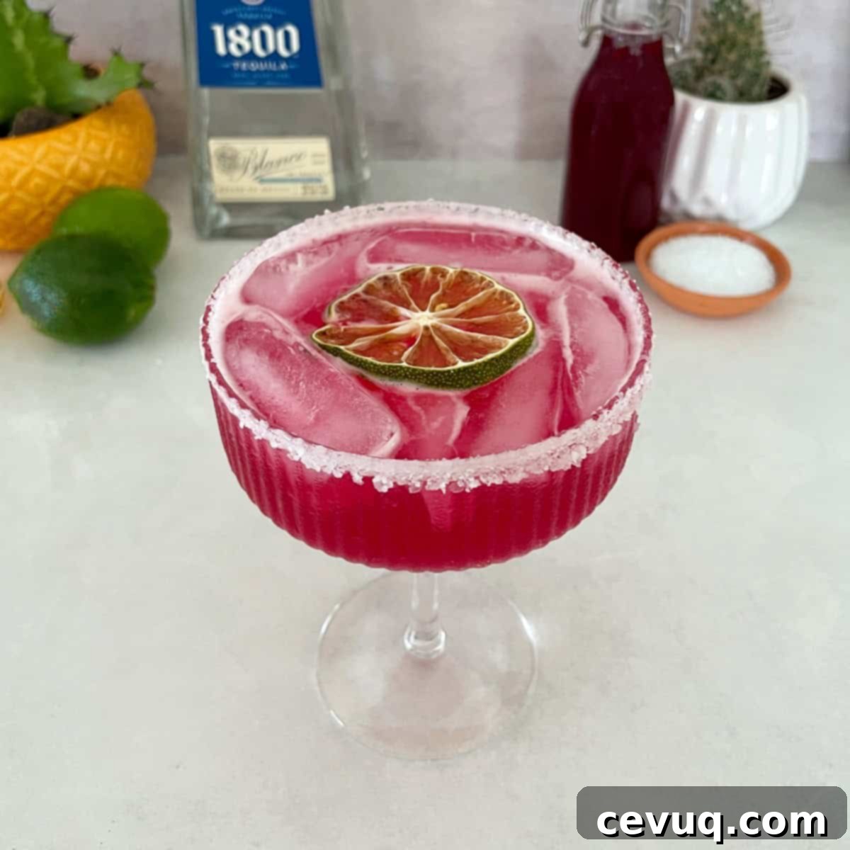 Μαργαρίτα Φραγκόσυκο 8 prickl pear syrup margarita.