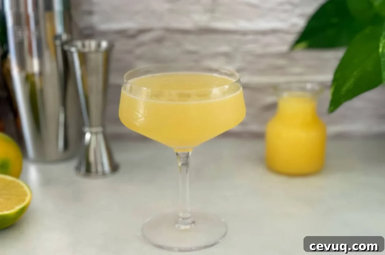 Κρεμώδες Πορτοκαλένιο Κοκτέιλ 2 κοκτέιλ orange creamsicle.