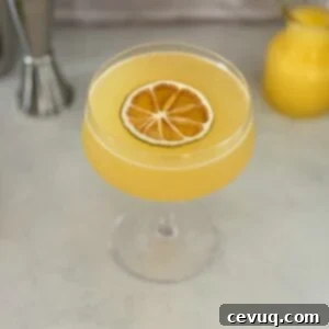 Κρεμώδες Πορτοκαλένιο Κοκτέιλ 5 ποτό orange creamsicle με γαρνιτούρα αποξηραμένου πορτοκαλιού.