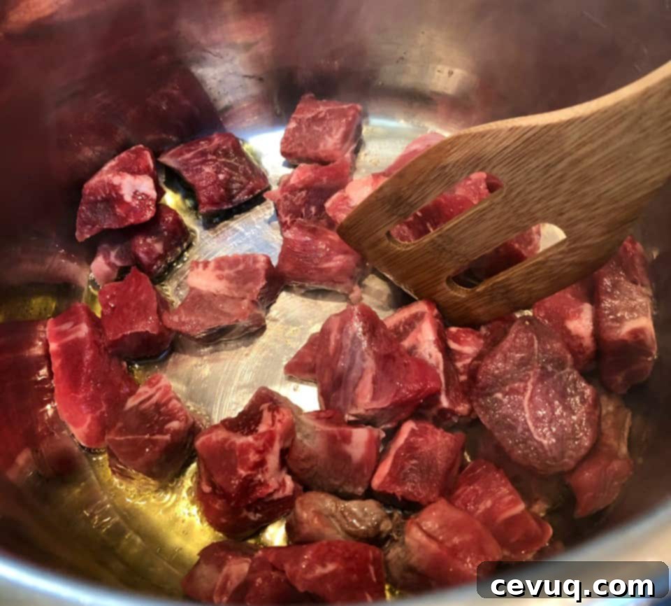 Μαδημένο Μεξικάνικο Μοσχάρι Express 4 Instant Pot μοσχάρι πριν από το σοτάρισμα