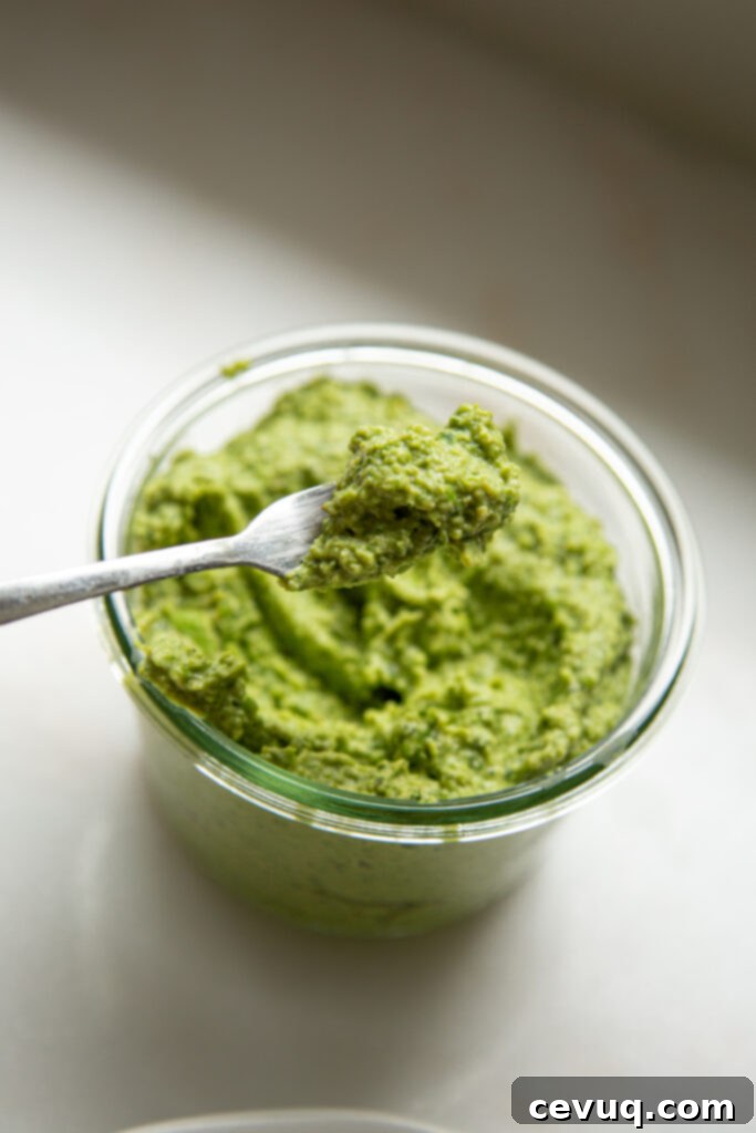 Πρωτεϊνούχο Άλειμμα Ενταμάμε 3 edamame spread
