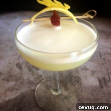 Κοκτέιλ Τζιν με Άνθη Κουφοξυλιάς 7 gin elderflower cocktail with cherry and lemon peel