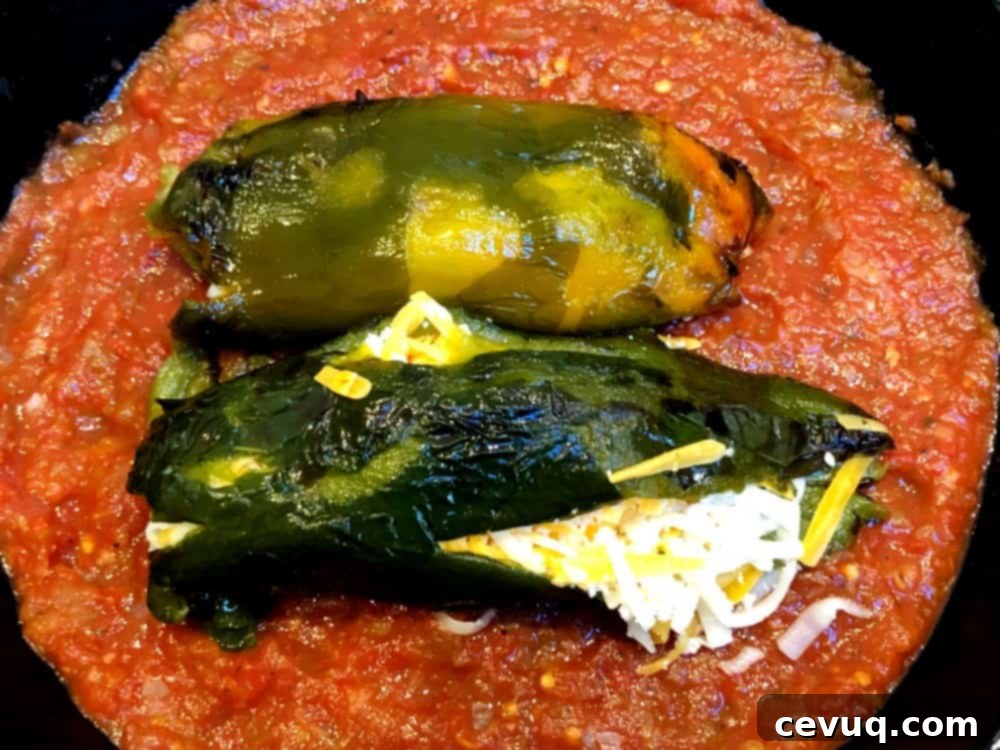 Φουρνιστά Τσίλι Γεμιστά 11 Ψητές πιπεριές poblano γεμιστές με τυρί σε ταψί με σάλτσα.