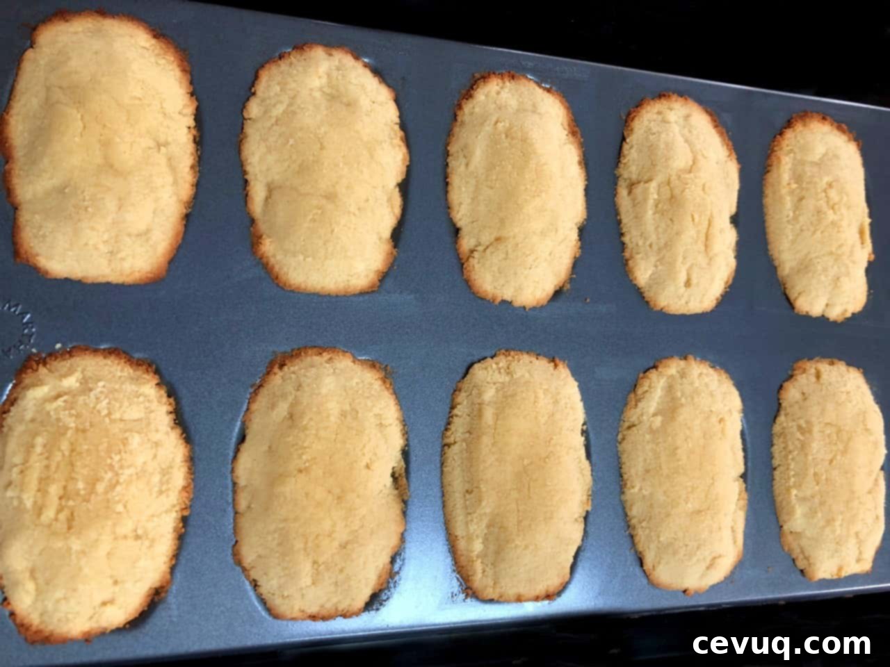 Μαντλέν καρύδας χωρίς γλουτένη 7 Madeleines καρύδας ψημένα σε φόρμα