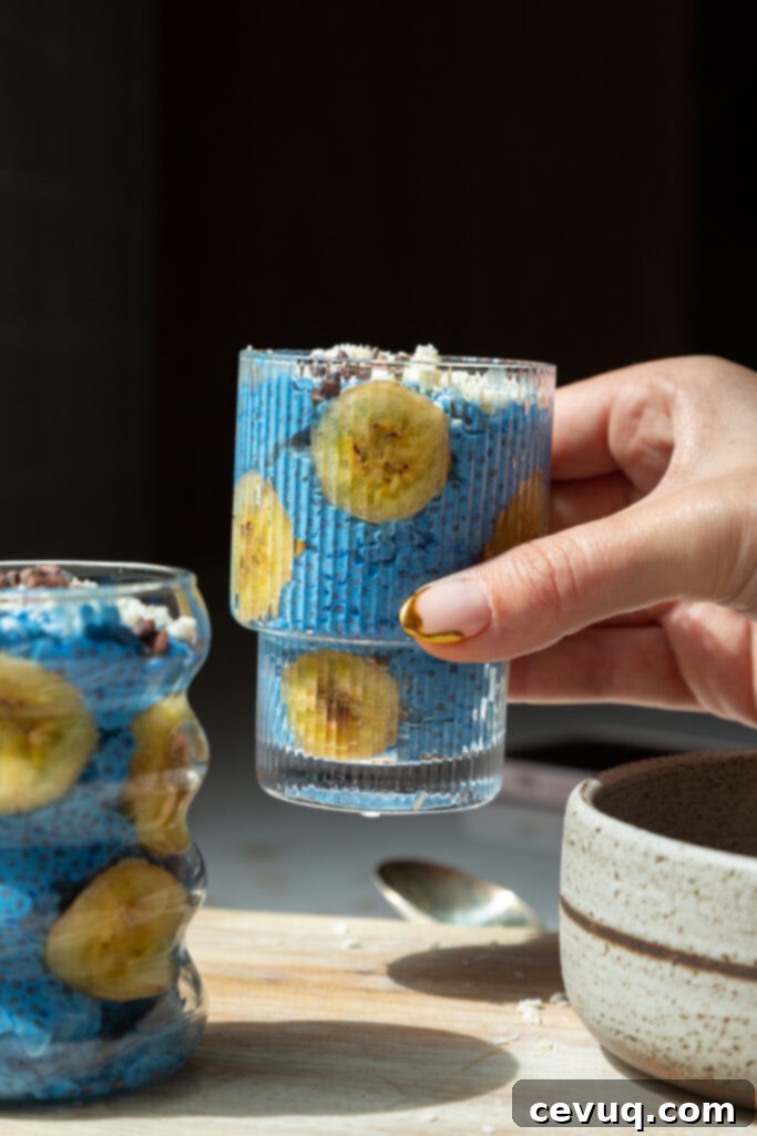 Μπλε Μαγική Πουτίγκα Τσία 2 Μπλε Majik Chia Pudding