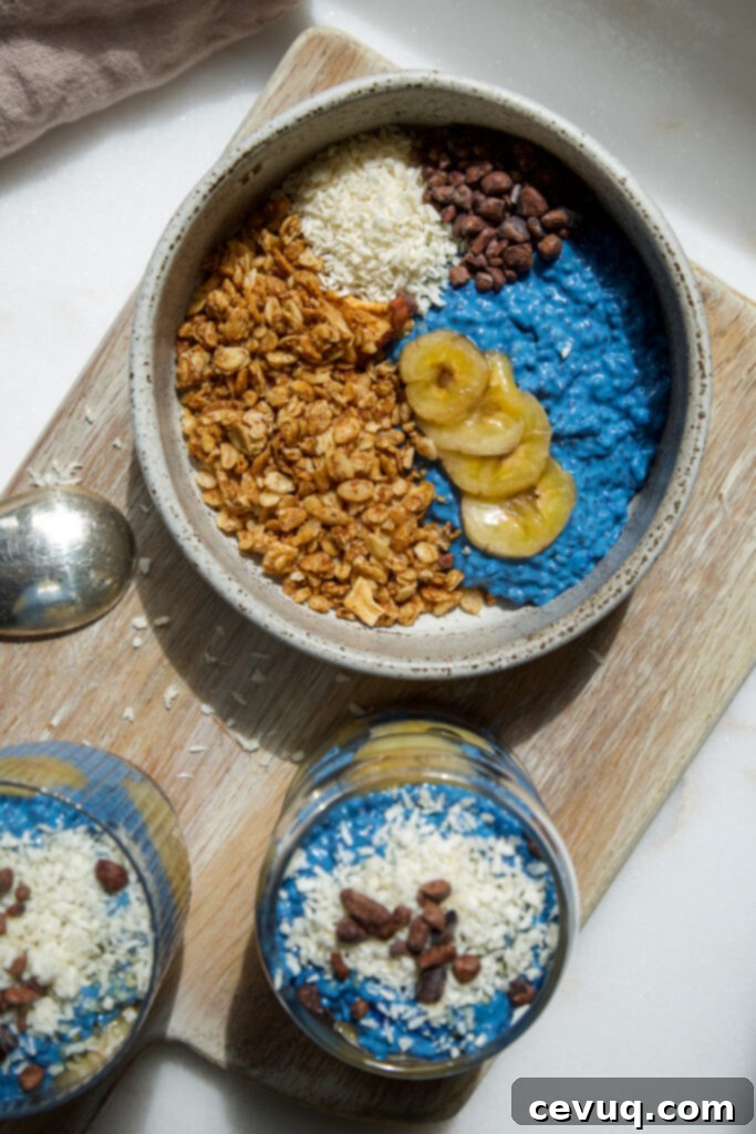 Μπλε Μαγική Πουτίγκα Τσία 6 Blue Majik Chia Pudding σε δοχείο