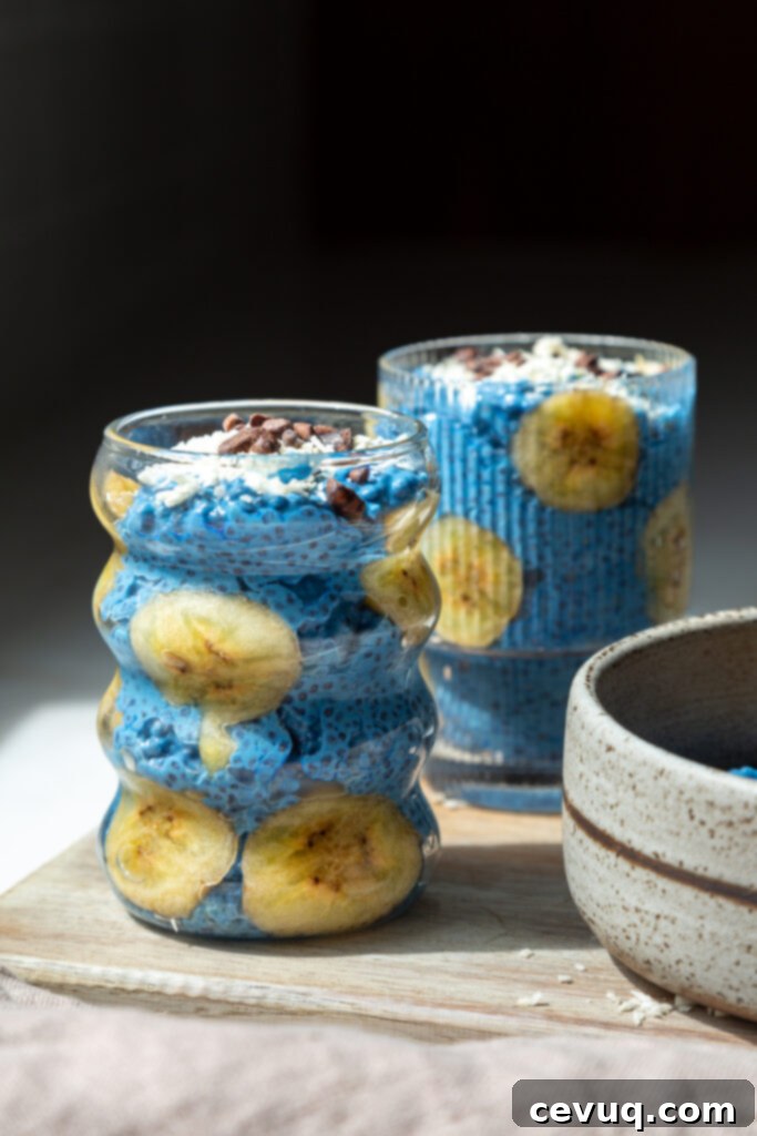 Μπλε Μαγική Πουτίγκα Τσία 7 Blue Majik Chia Pudding με toppings
