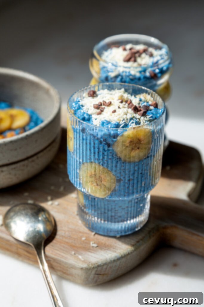 Μπλε Μαγική Πουτίγκα Τσία 8 Πληθώρα Blue Majik Chia Pudding