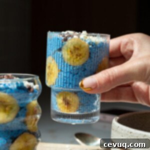 Μπλε Μαγική Πουτίγκα Τσία 9 Blue Majik Chia Pudding