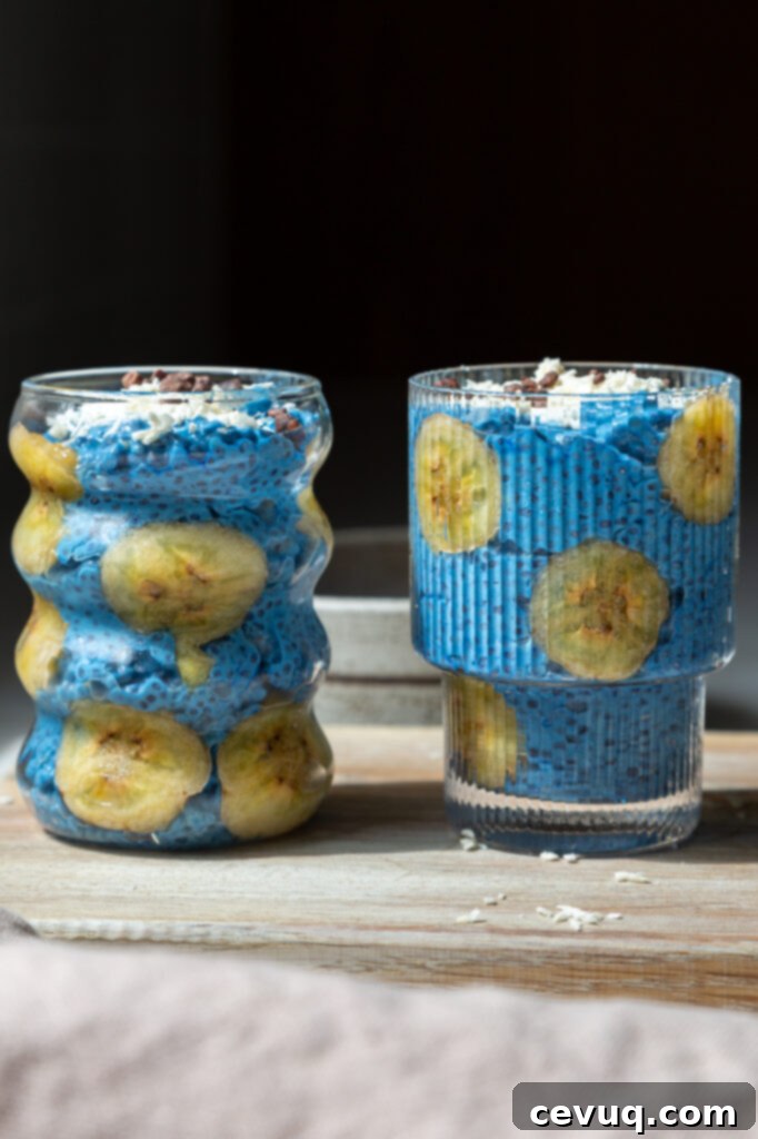 Μπλε Μαγική Πουτίγκα Τσία 5 Blue Majik Chia Pudding σε μπολ
