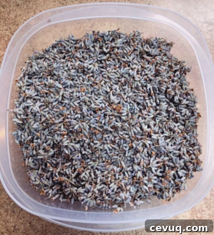 Συνταγή για Γκαλέτα Μήλου με Λεβάντα 5 dried lavender buds in a plastic container