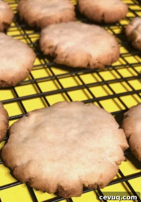 Τουίξ Κουλουράκια 3 ψημένα shortbread cookies σε σχάρα για τη συνταγή twix cookie