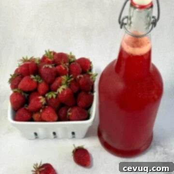Οξυμέλι Φρέσκων Φρούτων 6 strawberry shrub in a flip top bottle next to fresh strawberries