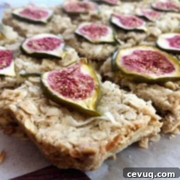 Μπάρες βρώμης με σύκο και καρύδα 14 coconut fig bars sliced into squares