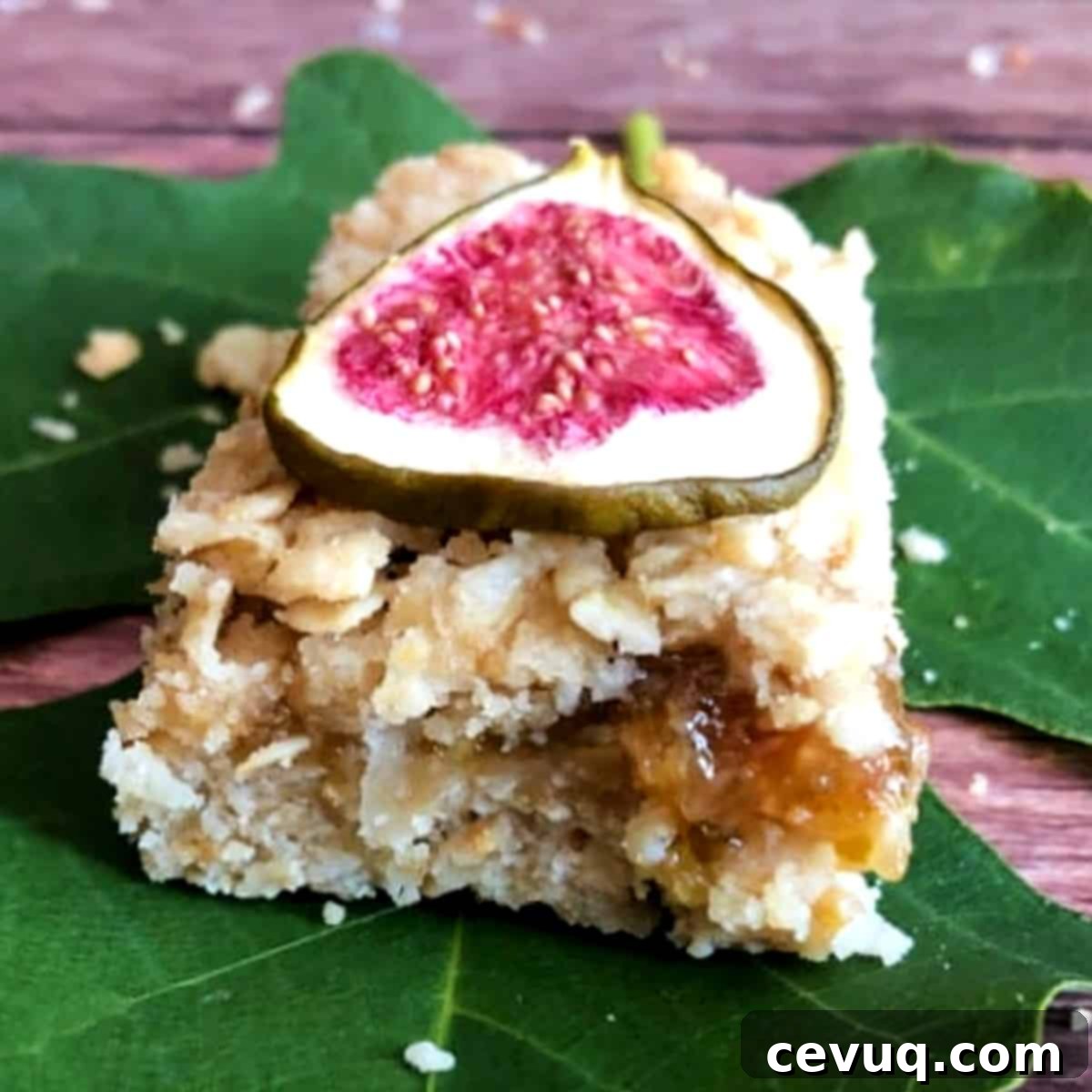 Μπάρες βρώμης με σύκο και καρύδα 3 close-up-of-coconut-fig-square