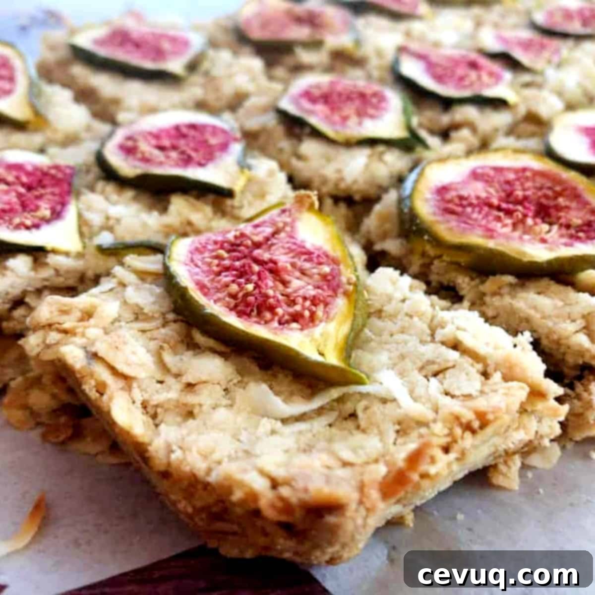 Μπάρες βρώμης με σύκο και καρύδα 5 coconut-fig-bars-sliced-into-squares