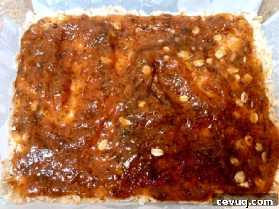 Μπάρες βρώμης με σύκο και καρύδα 8 fig jam on baked crumble.