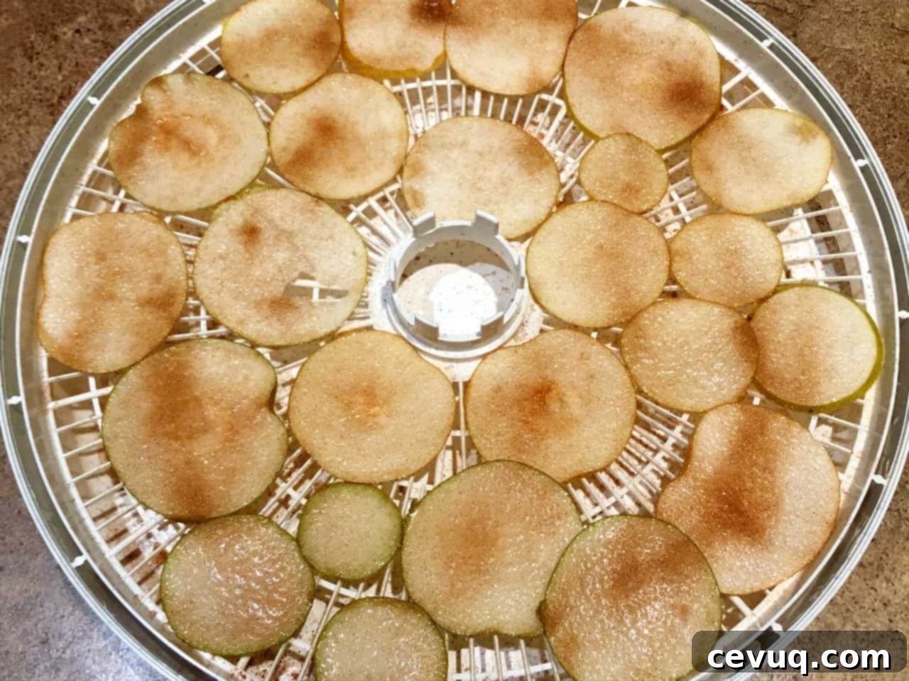 Η Τέχνη της Αποξήρανσης Αχλαδιών 8 Κομμένα ασιατικά αχλάδια με κανέλα και ζάχαρη σε αποξηραντήριο