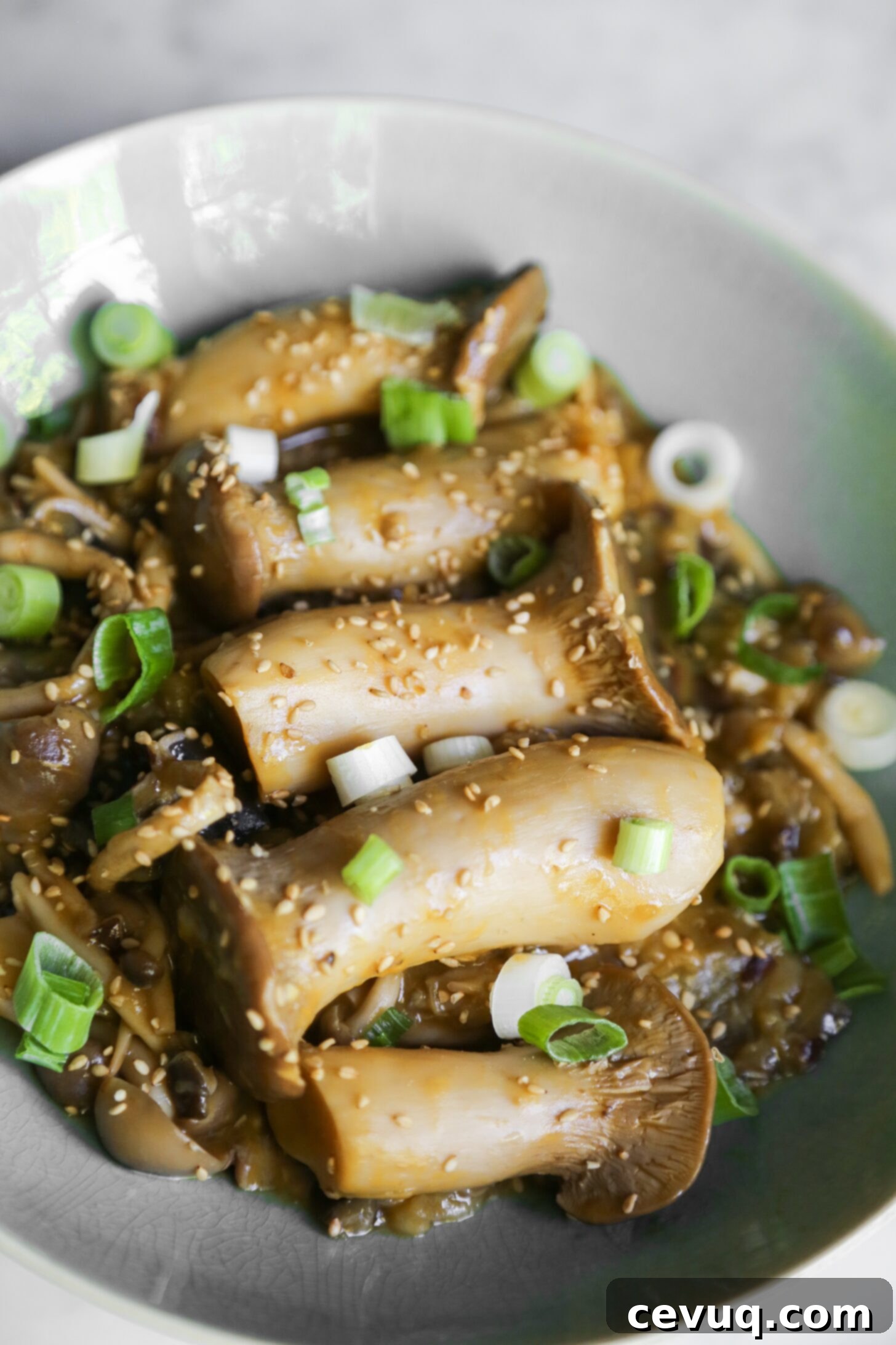 Μελιτζάνες Μανιτάρια στο Πήλινο 2 eggplant mushroom tobanyaki