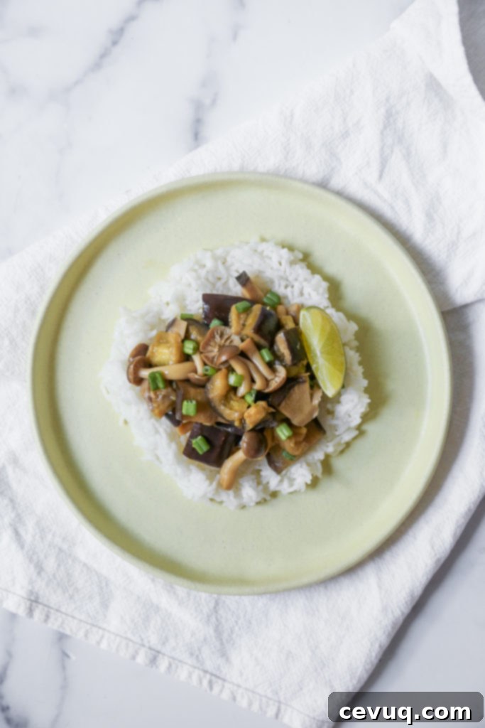 Μελιτζάνες Μανιτάρια στο Πήλινο 3 eggplant mushroom tobanyaki