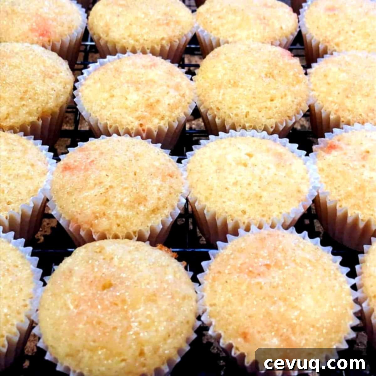 Κεκάκια Μπαστουνάκι Καραμέλας 9 Ψημένα cupcakes ζαχαροκάλαμο σε σχάρα